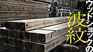 ウッドショックの波紋