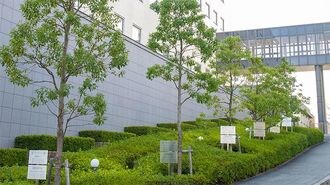 研究開発力で挑む革新的新薬の創製