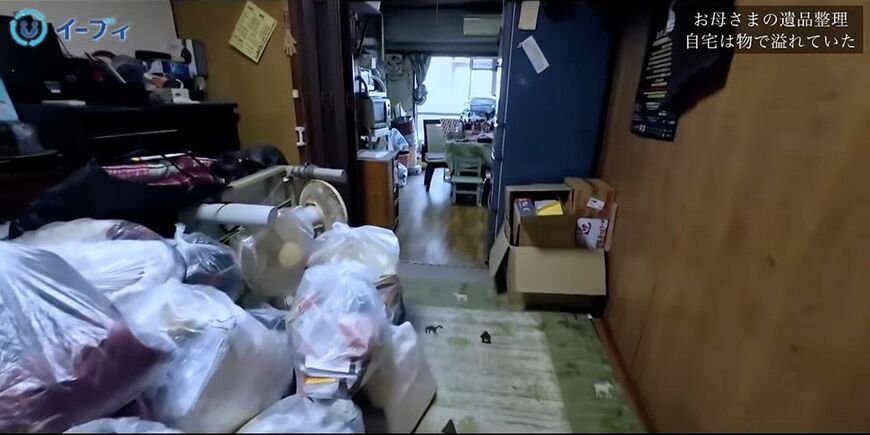母が1人暮らしをしていた家に足を踏み入れると、大量のモノが積み上がっていた（写真：「イーブイ片付けチャンネル」より）