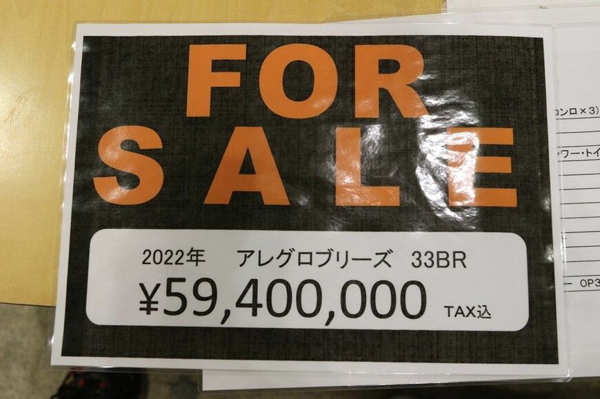 アレグロブリーズ33BRのディテールや情報（筆者撮影）