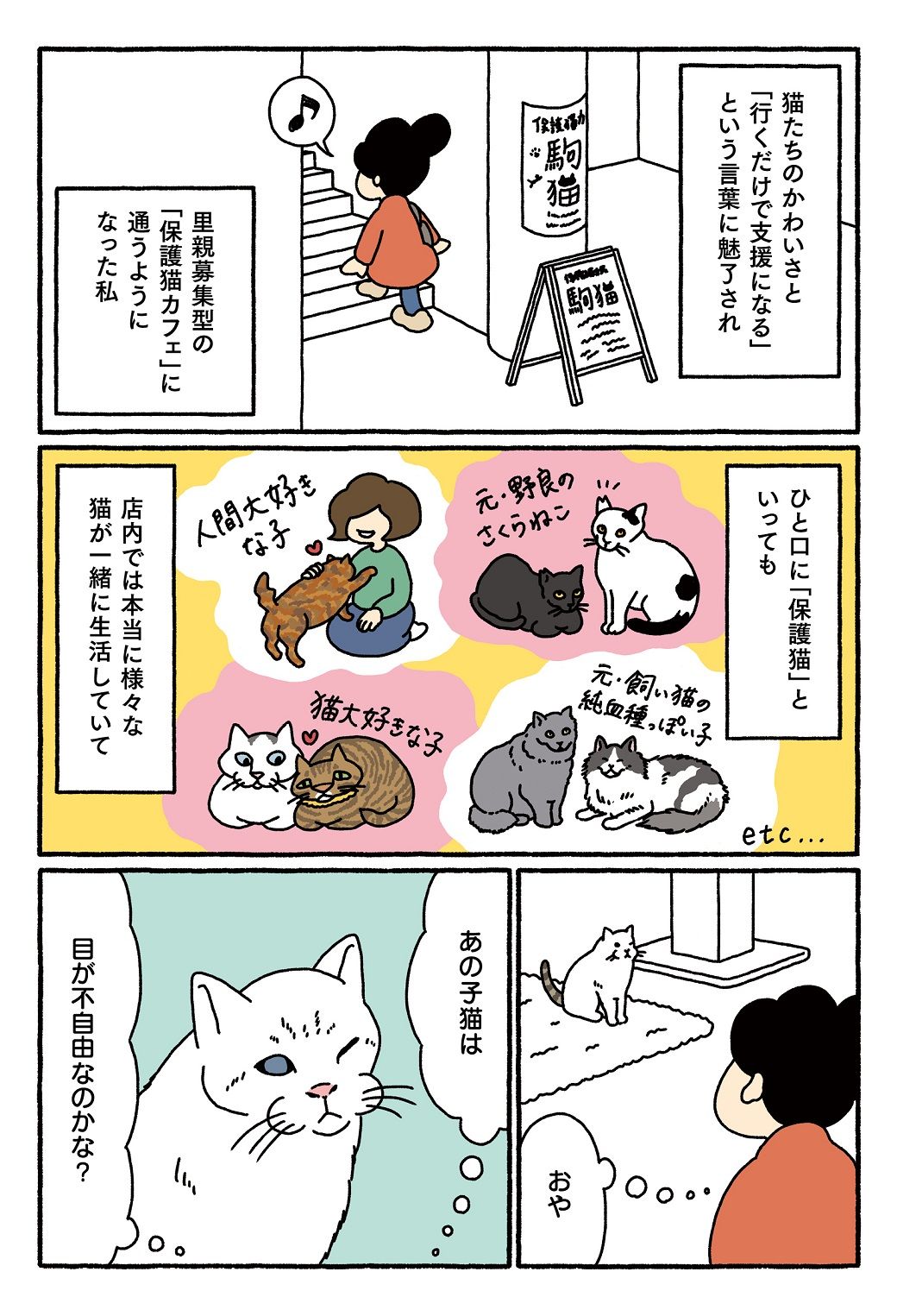 保護猫カフェ を訪れた私の思いがけない発見 いっしょに帰ろう 保護猫カフェで出会った新しい家族の話 東洋経済オンライン 経済ニュースの新基準