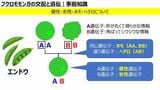（写真提供：ひろさん）