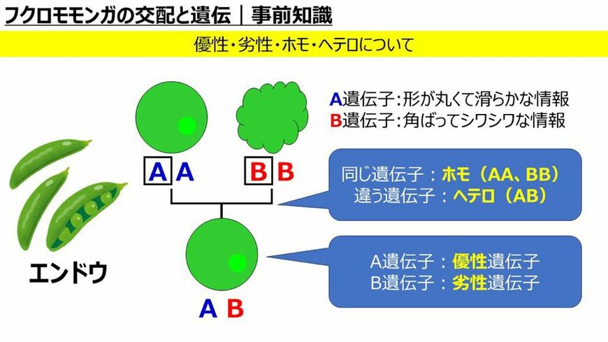 （写真提供：ひろさん）