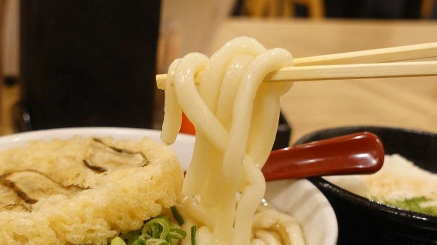 因幡うどんをアップで。柔らかいながらも食べ応えがある太麺だ（筆者撮影）
