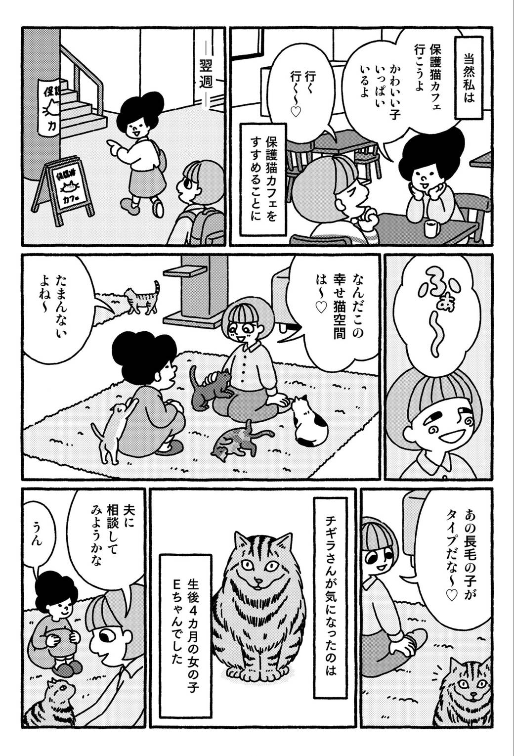 保護猫にのめりこんだ私がある日気づいたこと 漫画 東洋経済オンライン 経済ニュースの新基準