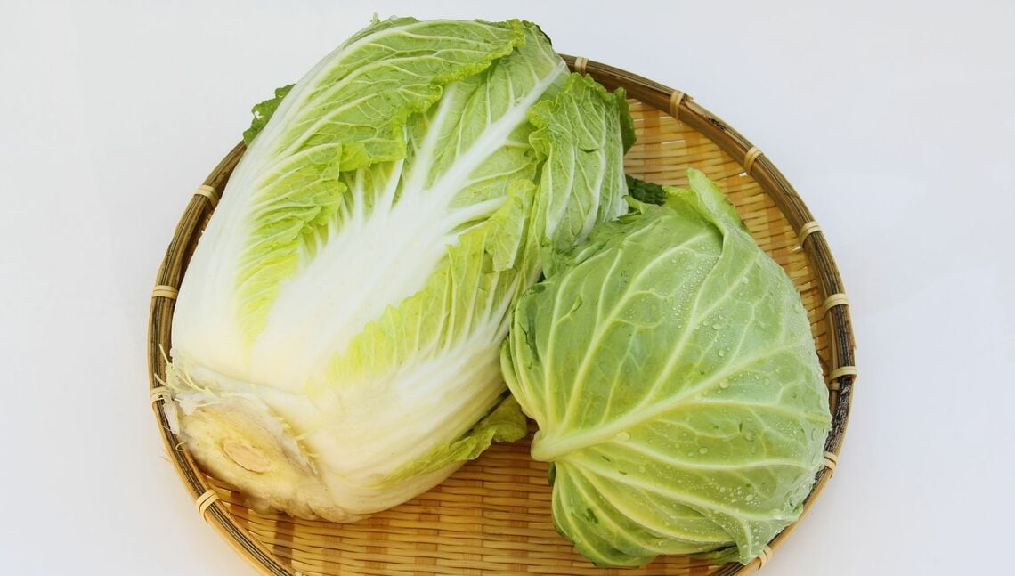 冬野菜の冷凍保存＋解凍術を紹介します（写真：dorry／PIXTA）