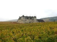 フランスワインの定着 その3：ブルゴーニュワイン《ワイン片手に経営論》第7回