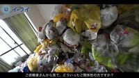 ｢ゴミ屋敷に住む20代弟｣を救い出した姉の述懐 もしも家族の部屋がゴミ屋敷になってしまったら