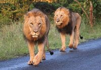 千尋の谷へ突き落としてこそ、子は成長する 厳しくない愛は、愛ではない