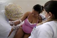 妊婦襲うジカ熱のワクチン開発が困難な理由