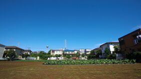 2022年に破裂する｢生産緑地｣という時限爆弾