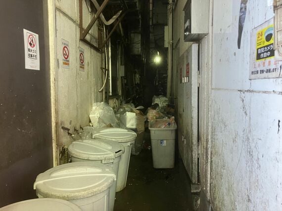 歌舞伎町のネズミ