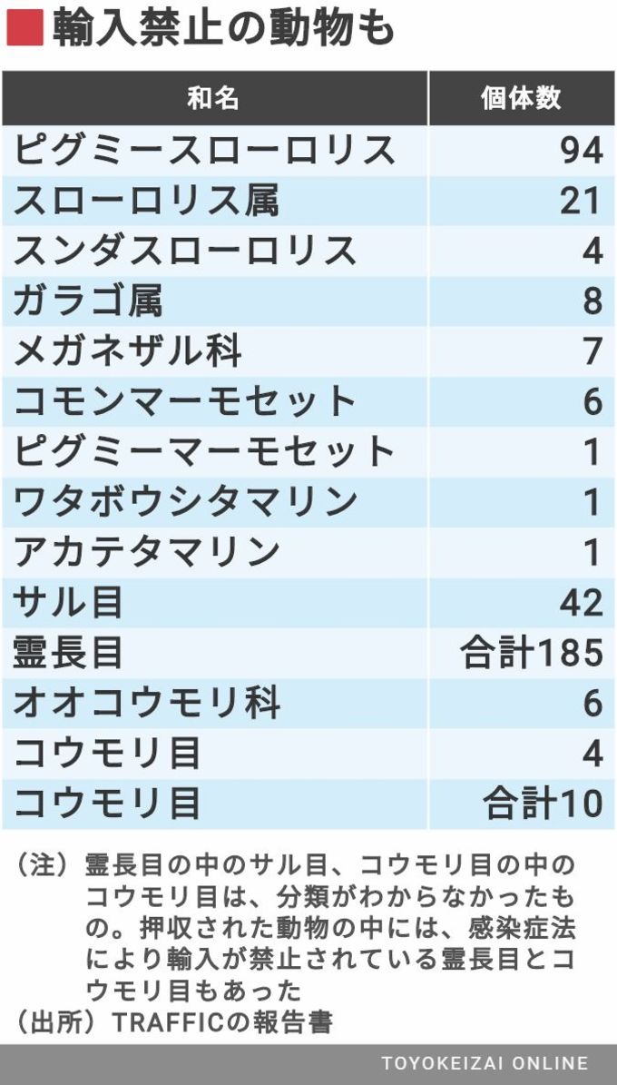 密輸コウモリも取引 ペット輸入大国 日本の闇 ペット 東洋経済オンライン 経済ニュースの新基準