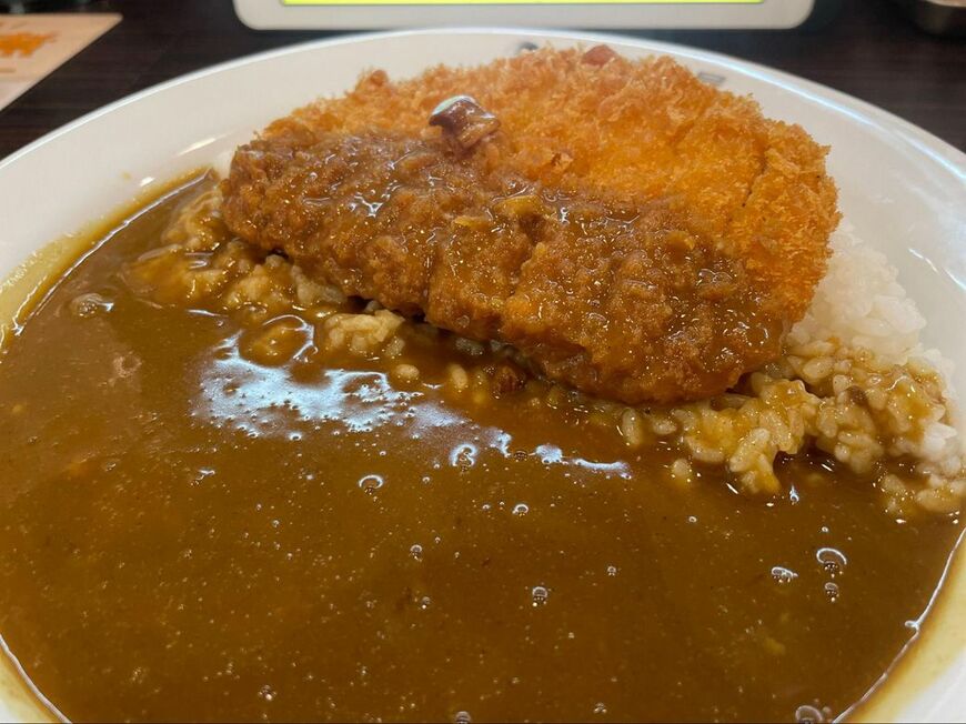 オーソドックスなロースカツとポークカレー。家庭的な味が支持されてきたが、これが1000円、1500円と高くなっていった時、消費者が払い続けられるかはまた別の問題だろう（筆者撮影） 