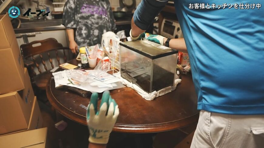 （画像：「イーブイ片付けチャンネル」より）