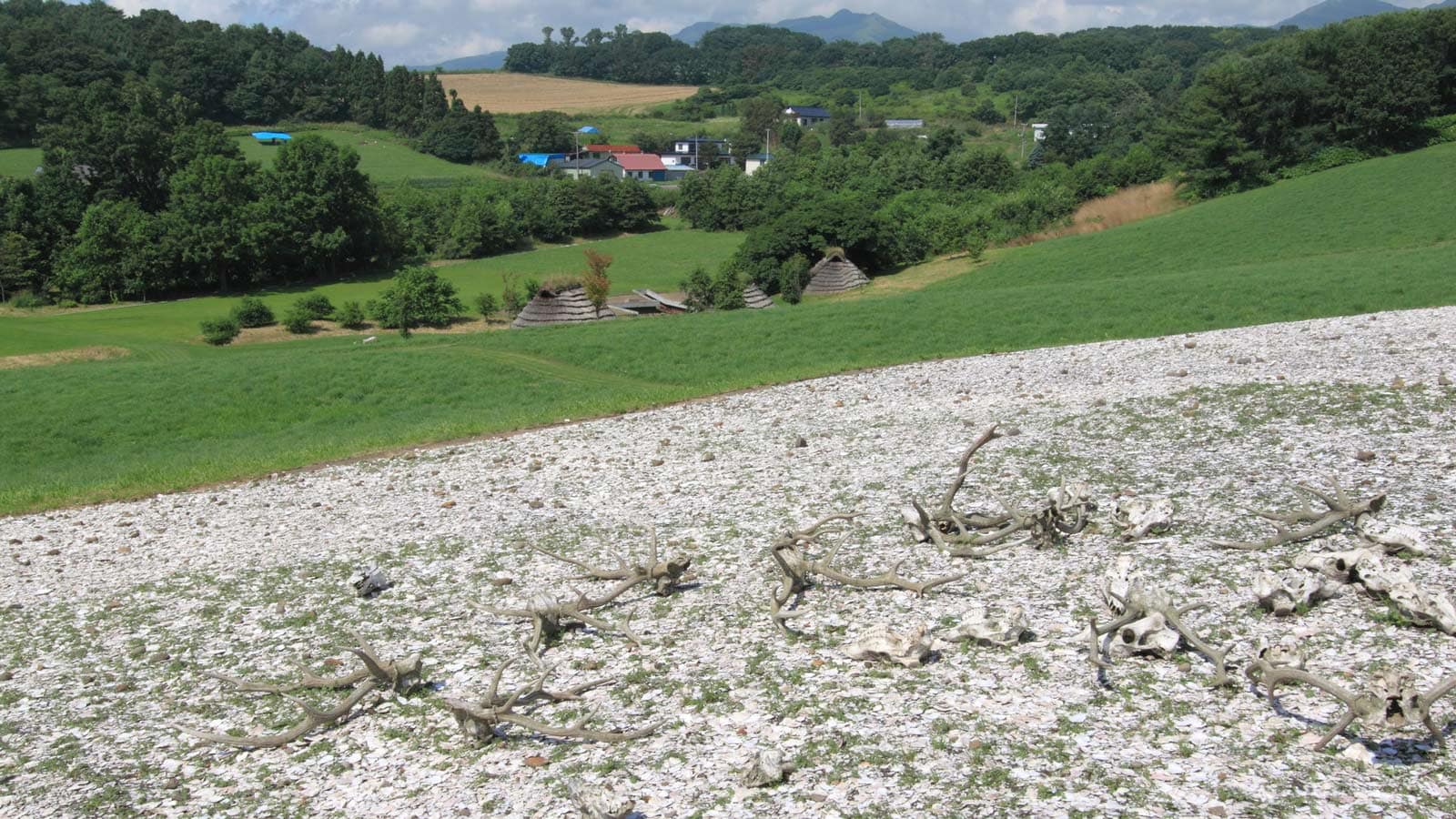 縄文人に｢上下意識｣があまりなかった理由 平成の終わりに縄文愛を叫ぶ 東洋経済オンライン 経済ニュースの新基準