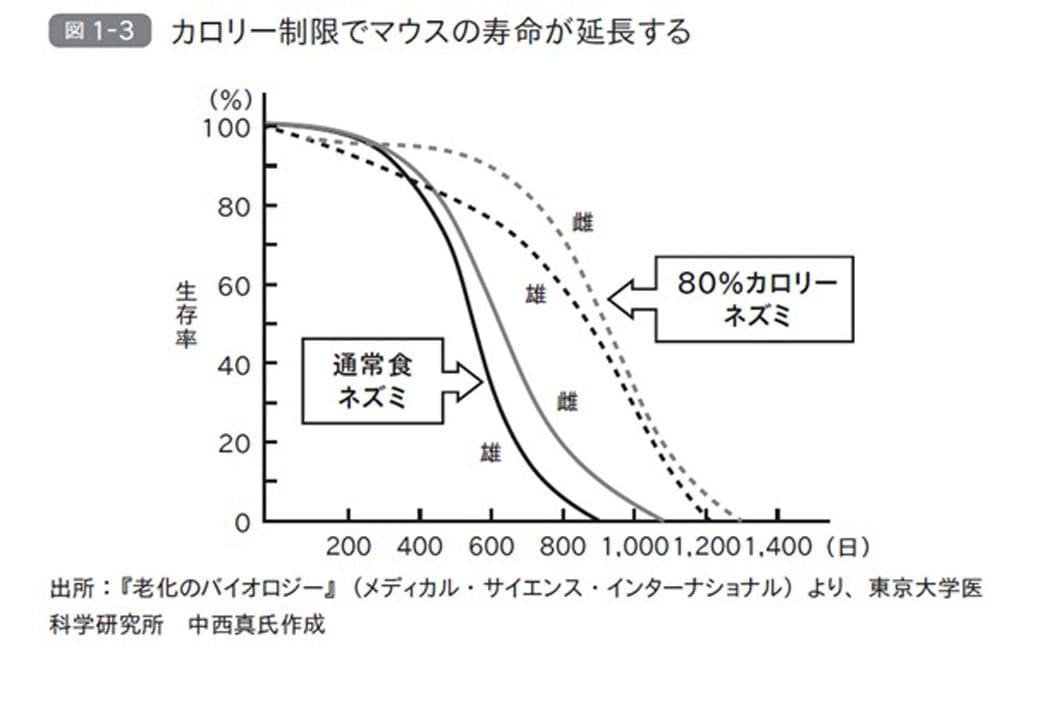 （画像：『東大名誉教授が教える 死なない生き方 科学でひもとくアンチエイジングと健康寿命』より）