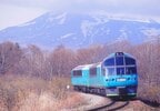 マウントレイク大沼号として走る