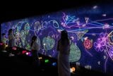 チームラボ こびとが住まう宇宙の窓