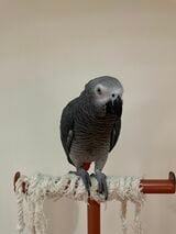 （写真提供：カマタさん）