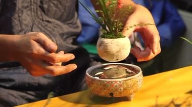 Bonsai Trees 'Float' Using Magnetic Levitation