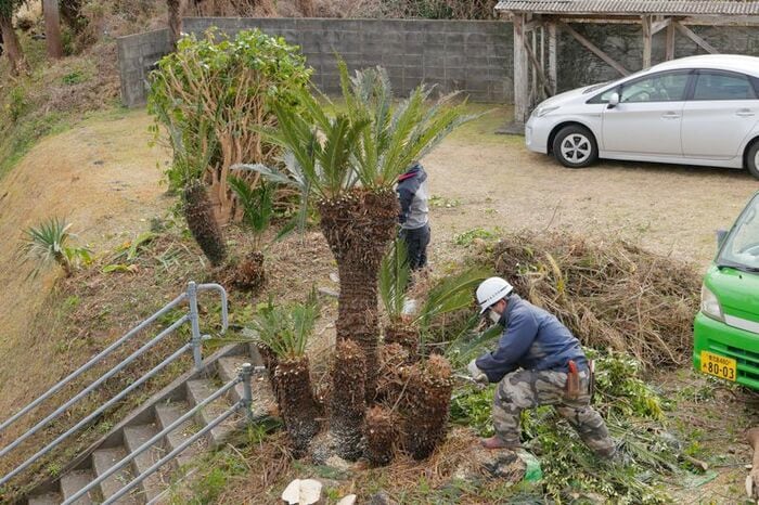 地元の園芸業者も協力