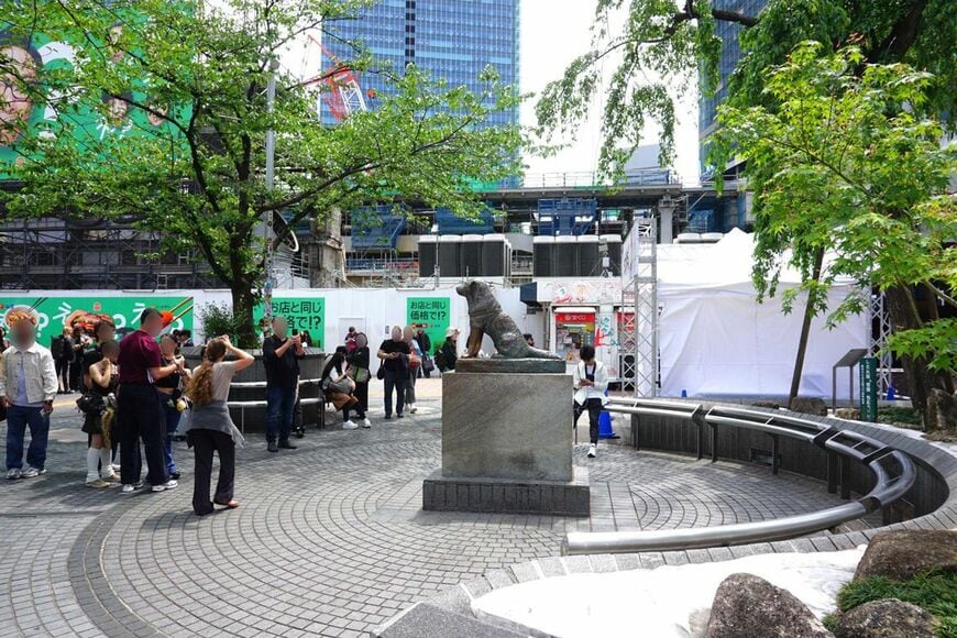 改修を終えたハチ公像（写真：筆者撮影）