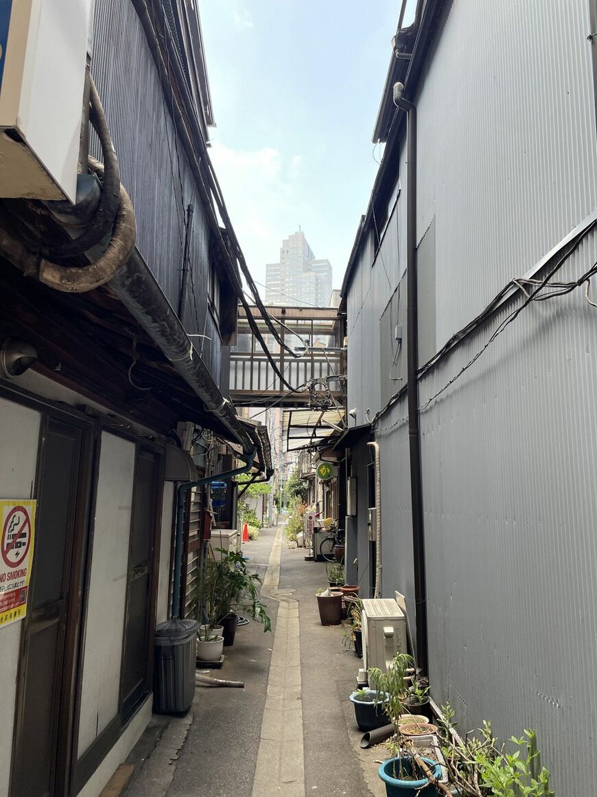 古い町並みの向こうに見えるタワマン（筆者撮影）