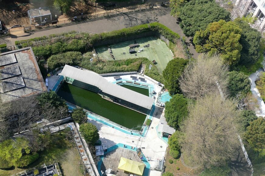 かつてのプールを活用した釣り堀（記者撮影）