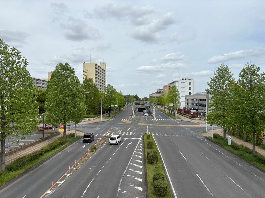 どの辺りを歩いているのか分からなくなり呆然としたまま撮影した景色（写真：筆者撮影）