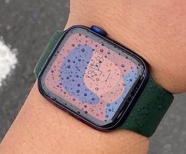 2020年9月に発売された「Apple Watch Series 6」。耐水性能を備えているので雨の日でも着用できる（筆者撮影）