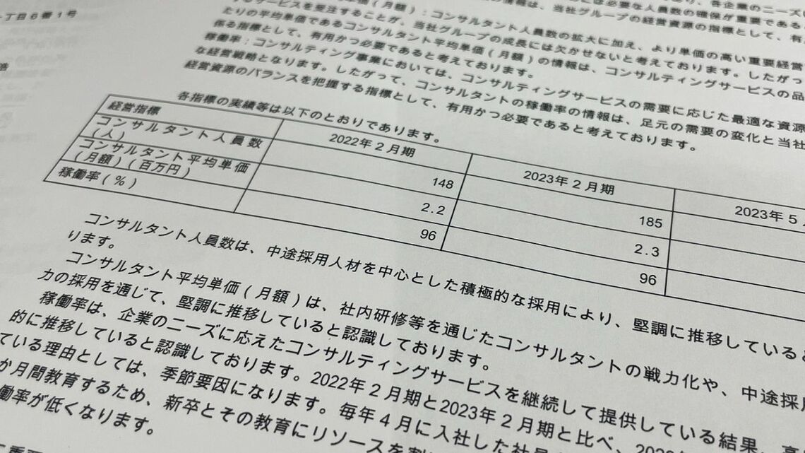 ライズ・コンサルティング・グループの有価証券届出書