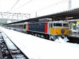 寝台特急「カシオペア」を牽引するEF81形。この際は吹雪の盛岡駅で立ち往生してしまった（撮影：南正時）