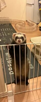 （写真提供：ミキさん）