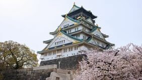 家康はなぜ秀吉に従ったか？徳川家が滅亡しかねない…窮地を救った｢意外な切り札｣と秀吉の"実母人質"の裏側