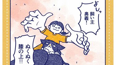 余命わずかな ようかい（要介護）猫ちゃん | 嫌がる16歳猫に｢自宅で 