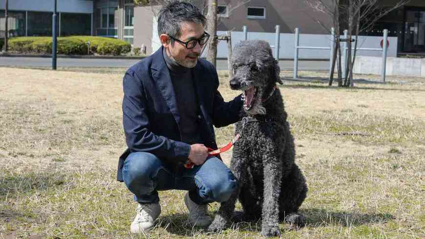 麻布大学の菊水健史教授と、大学に同伴出勤しているスタンダード・プードルのクルトくん（撮影：大澤誠）