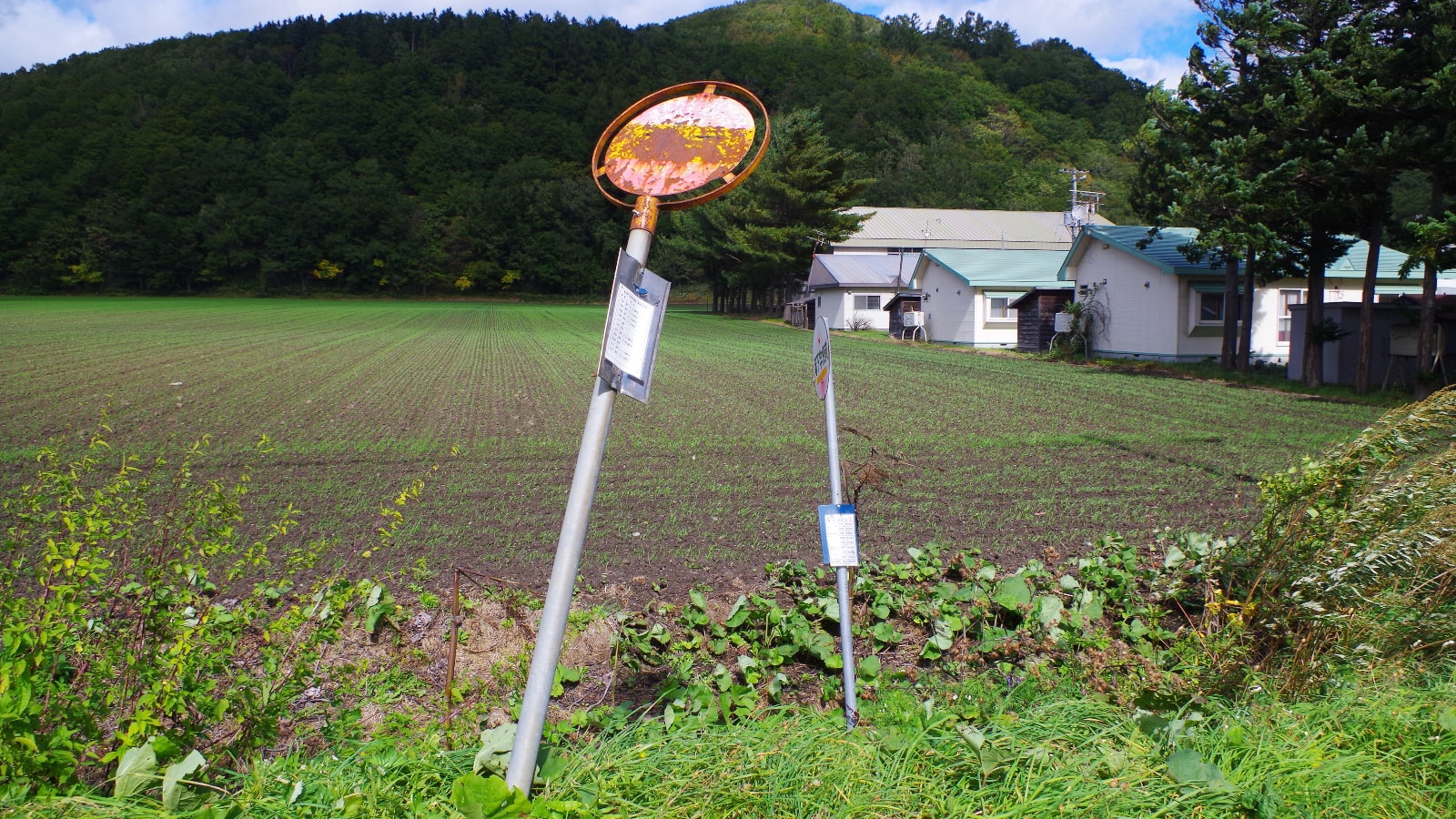 交通不便地に住む高齢者 が多い市ランキング 住みよさランキング 東洋経済オンライン 社会をよくする経済ニュース