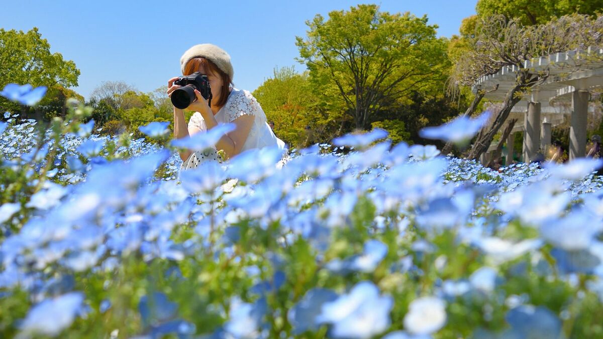 SNSで目立つ写真の｢7つのルール｣色と被写体編 写真を撮りまくって｢勝ち筋｣を見つけよう！ | リーダーシップ・教養・資格・スキル | 東洋経済オンライン