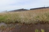 釧路市鶴野のメガソーラー。パネルが並んだ南側には湿原が広がっていた（撮影：河野博子）