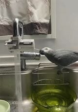 水道を出せても締めることはできない（写真提供：カマタさん）