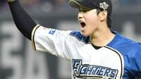 プロ野球･日ハムが新球場構想で描く未来図 新球場ができると､球団経営は何が変わるか