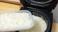 冷蔵は絶対ダメ！ご飯をおいしく保存する"極意" もちもちキープの｢秘訣｣を実験データで紹介