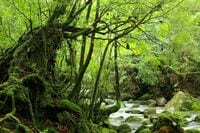 哲学とは､｢反社会･非社会的営み｣である 論文を書かずとも､血肉になる哲学はできる