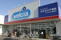 イオンが鳴らしたドラッグストア再編の号砲 「4社統合で業界首位」の先に見据える野望