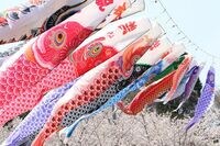 日経平均が10連休後も上がると読む5つの根拠