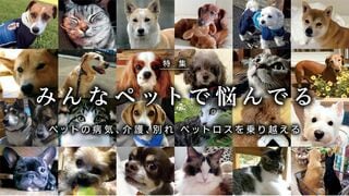 みんなペットに悩んでる ペットの病気、介護、別れ ペットロスを乗り越える