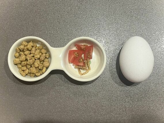 フクロモモンガの餌