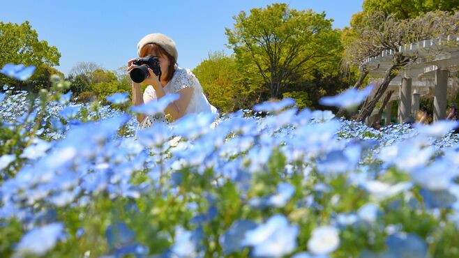 SNSで目立つ写真の｢7つのルール｣色と被写体編