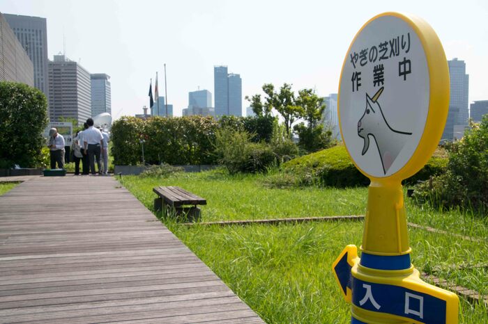 国土交通省本庁の屋上庭園はかんかん照り